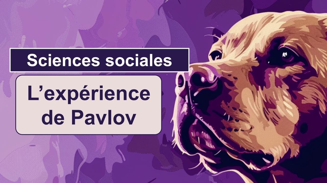 L&rsquo;exp&eacute;rience de Pavlov - Le conditionnement associatif