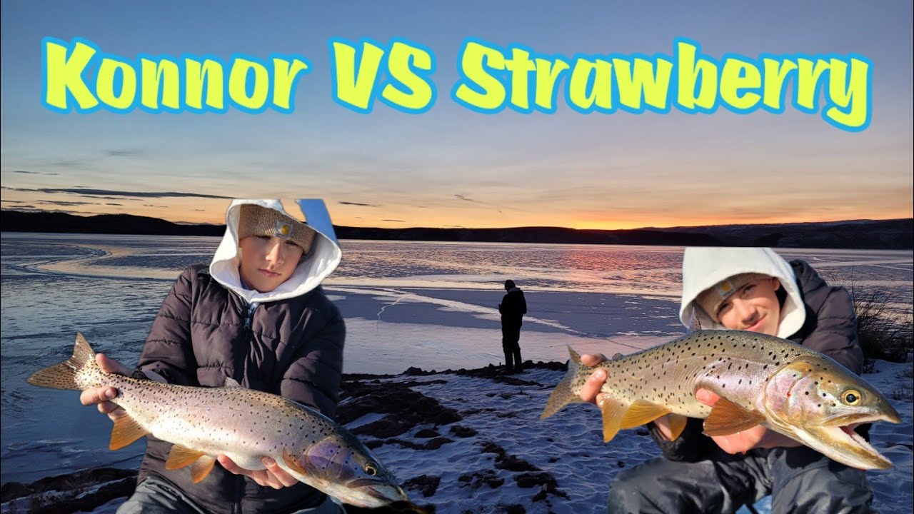 Konnor does a 40+ fish day at Strawberry Reservoir