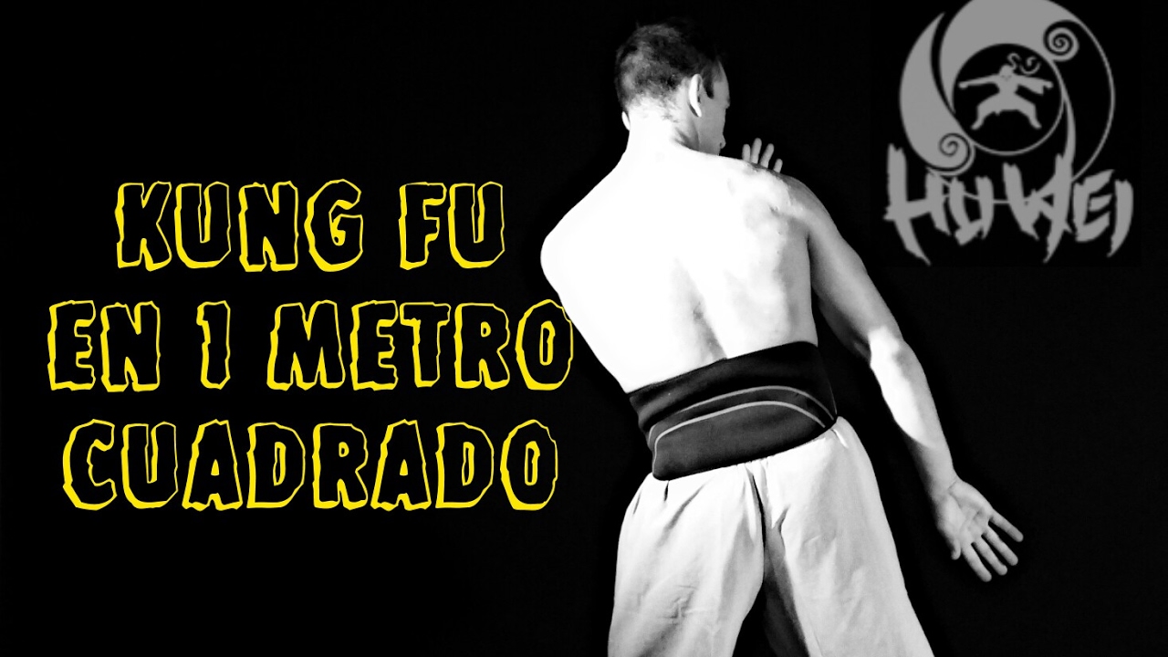 PRACTICA KUNG FU EN UN METRO CUADRADO