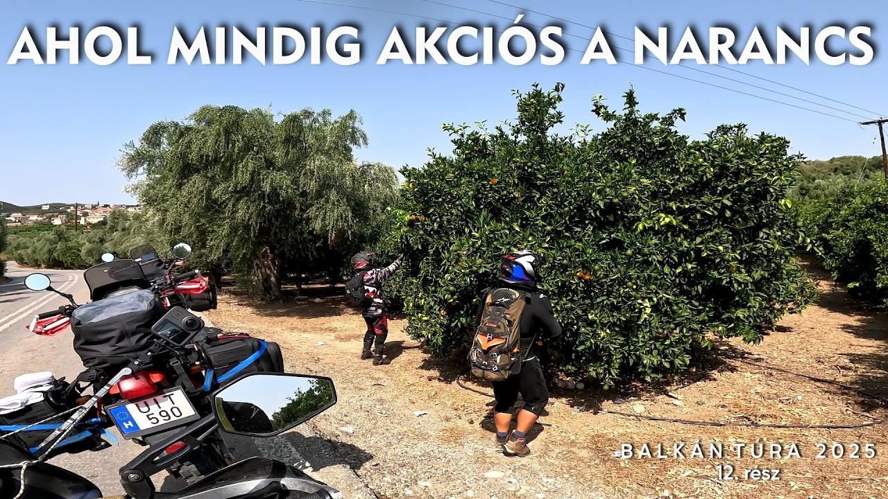 Ahol mindig akciós a narancs