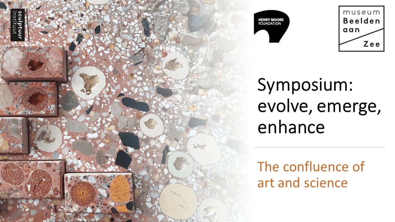 Symposium: Evolve, Emerge, Enhance - 16/11/2020 - Part 4 - Prof. Dr. Henk Jonkers
