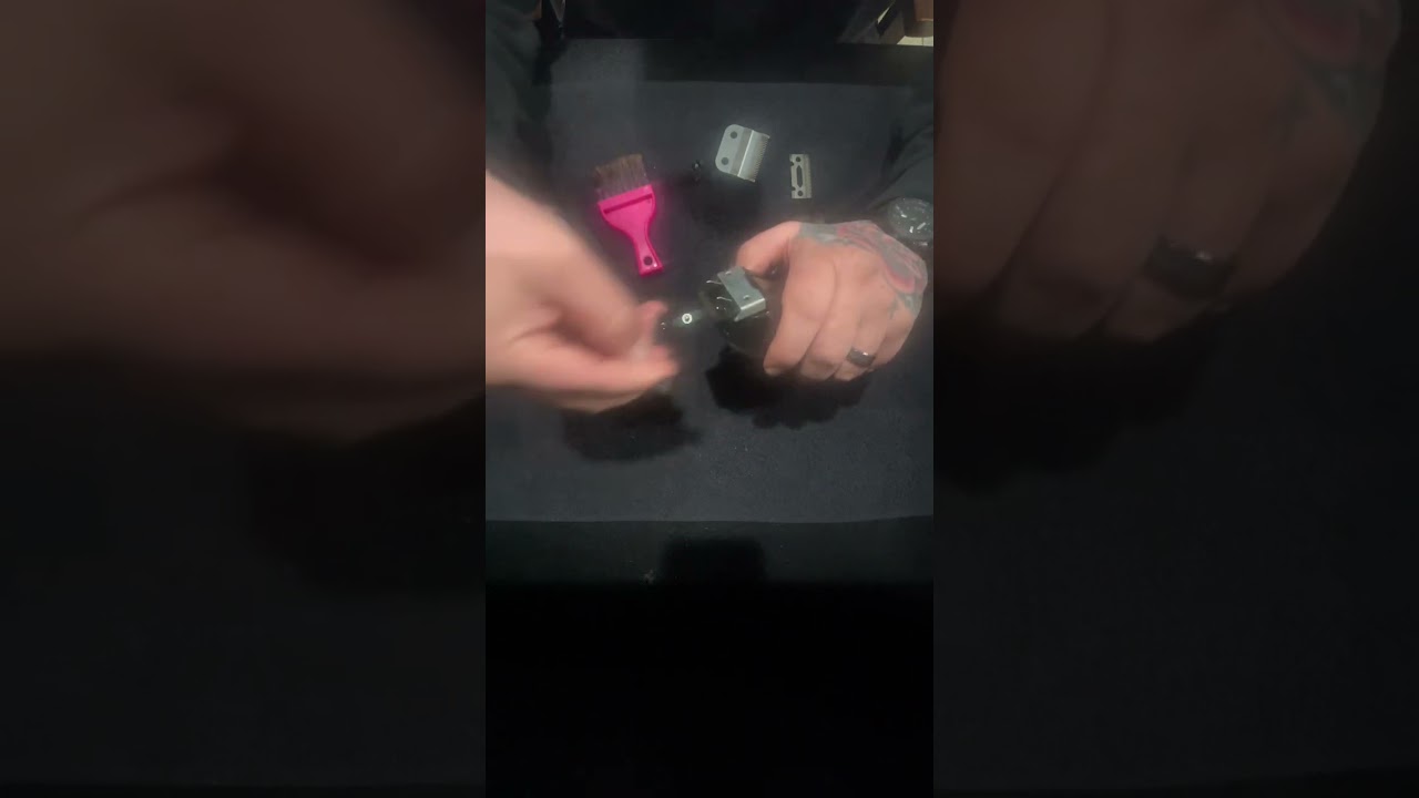 Andis Envy clipper maintenance