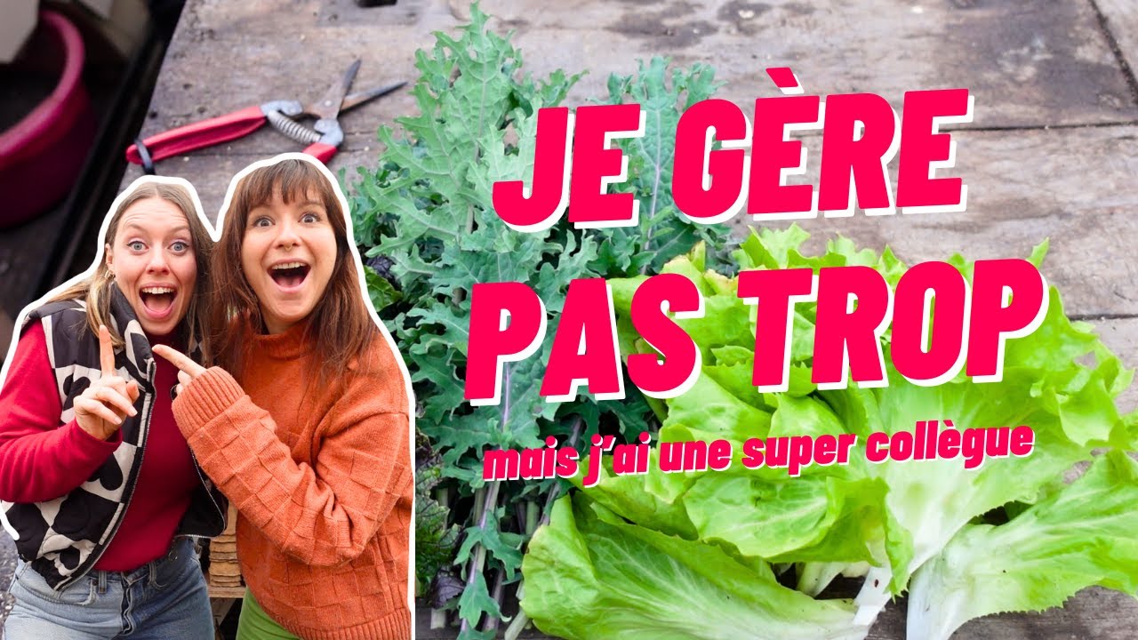 Pépiniériste en ville : mon quotidien