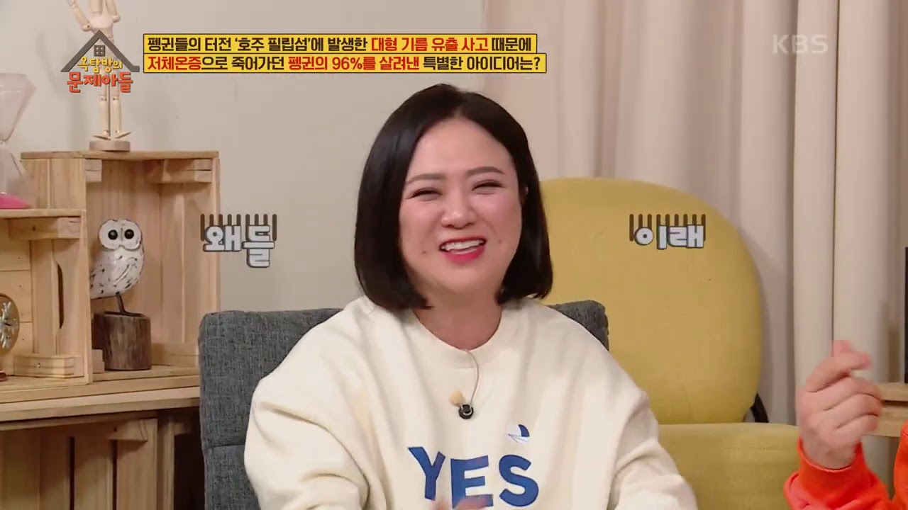 기름 유출 사고로 인해 저체온증으로 죽어가는 펭귄들을 살린 아이디어! 스웨터 입히기☆  [옥탑방의 문제아들/Problem Child in House] | KBS 210223 방송