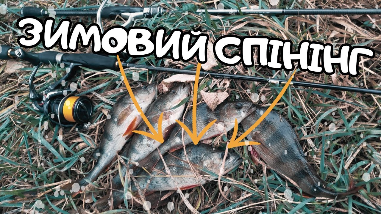НОВИЙ СЕЗОН! РИБАЛКА НА РІЧЦІ ВЗИМКУ! Ловля Окуня на Лайт і Ультралайт