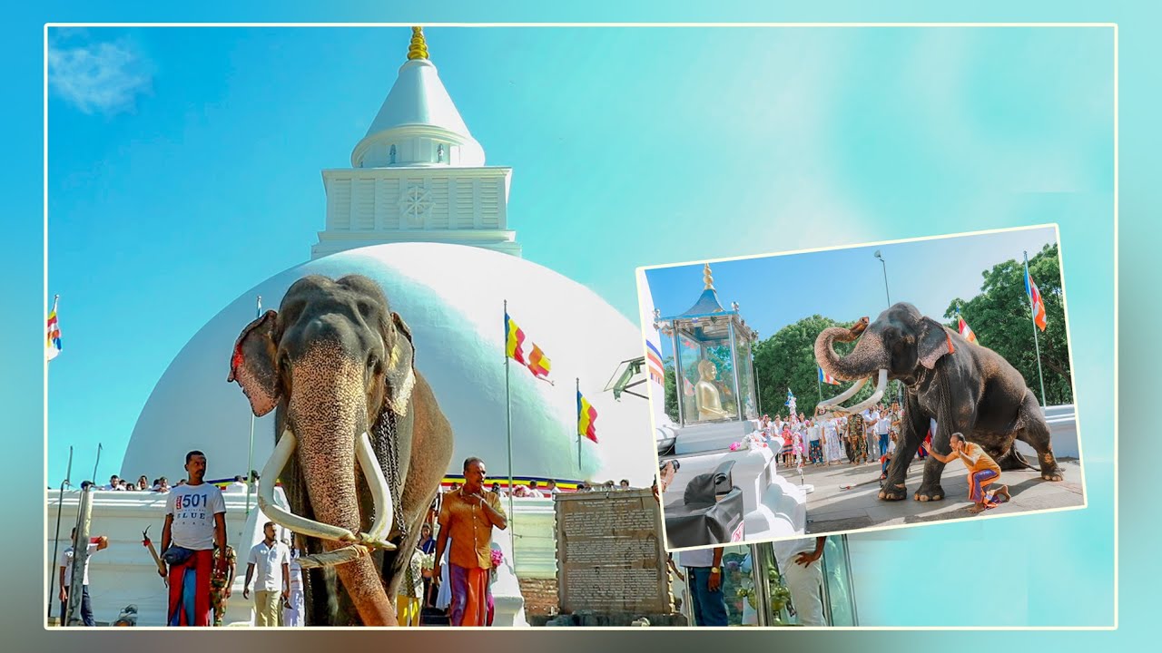 රාජකාරී ආරම්භයට කලින් කිරිවෙහර සමිදු පිදුමට ගිය වාසනා #kataragamawasana #wasana