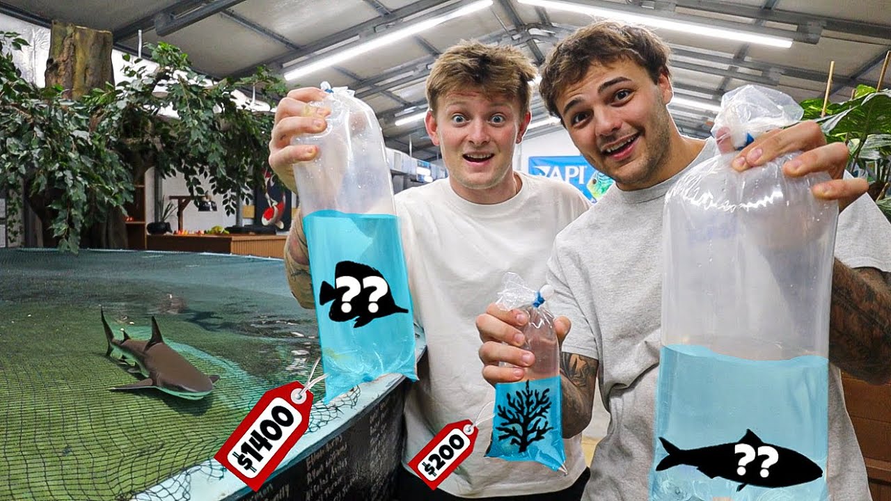 BUYING THREE NEW ANIMALS FOR MY FRIEND!!