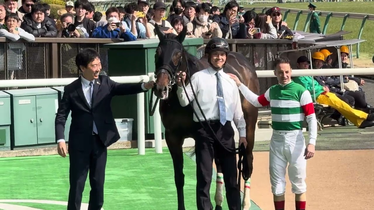 シャンソンドール、口取り撮影の様子