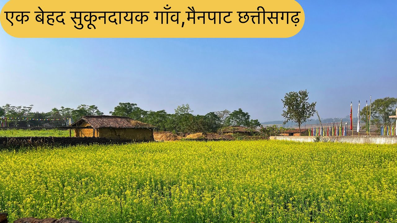 छत्तीसगढ़ में बसे तिब्बती शरणार्थियों का गॉंव और जनजीवन🏕️Mini Tibbat Of Chhattisgarh-MAINPAT