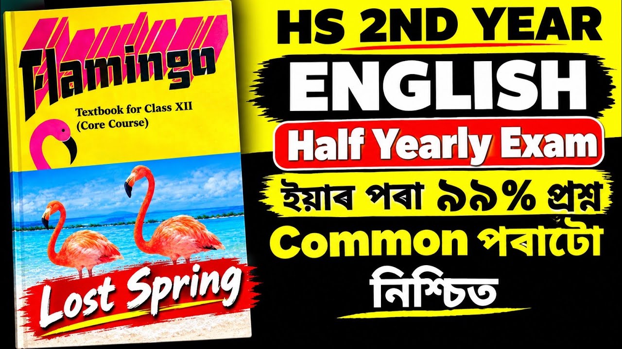 HS 2nd Year English Common Questions | 99% Common? | Half Yearly Exam 2026