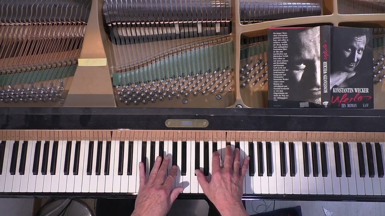 WILLY Konstantin Wecker. Piano solo. Frei interpretiert .B-Teil und C-Teil dazu gedichtet.Tutorial.