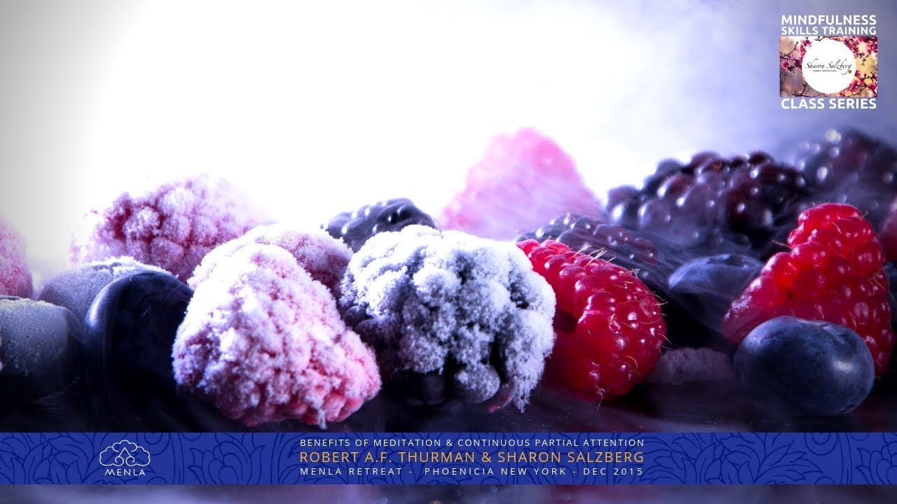 Benefits of Meditation & Effects of Continuous Partial Attention with Sharon Salzberg