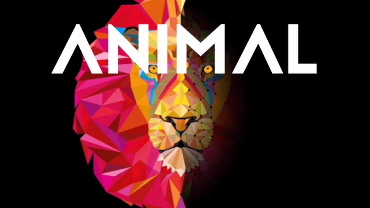 Teaser Animal - IDentity
