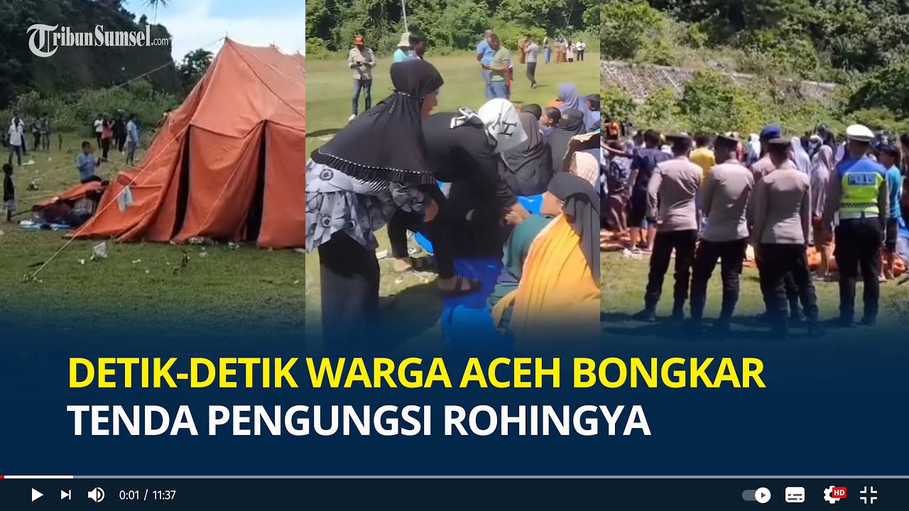 Detik-detik Warga Aceh Bongkar Tenda Pengungsi Rohingya, Emak-emak Usir Paksa Naik Mobil Dipindahkan