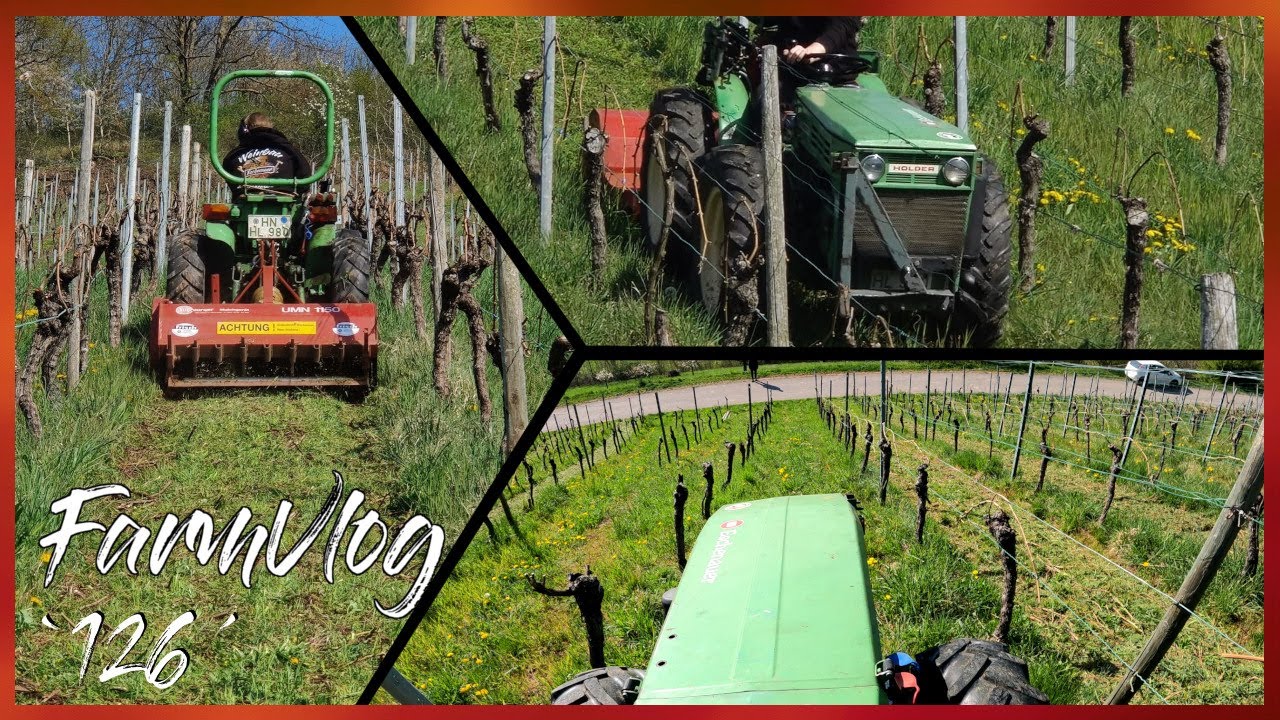 FarmVlog 🚜 `126´ - Anbinden und Steilhang Rebenhäckseln - [Eschenauer] - [HD/2K]