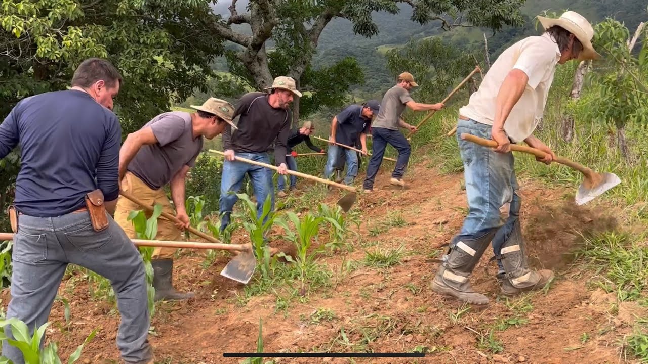 RESGATANDO O MUTIRÃO - TURMA DA ENXADA - A CAPINA DA ROÇA DE MILHO