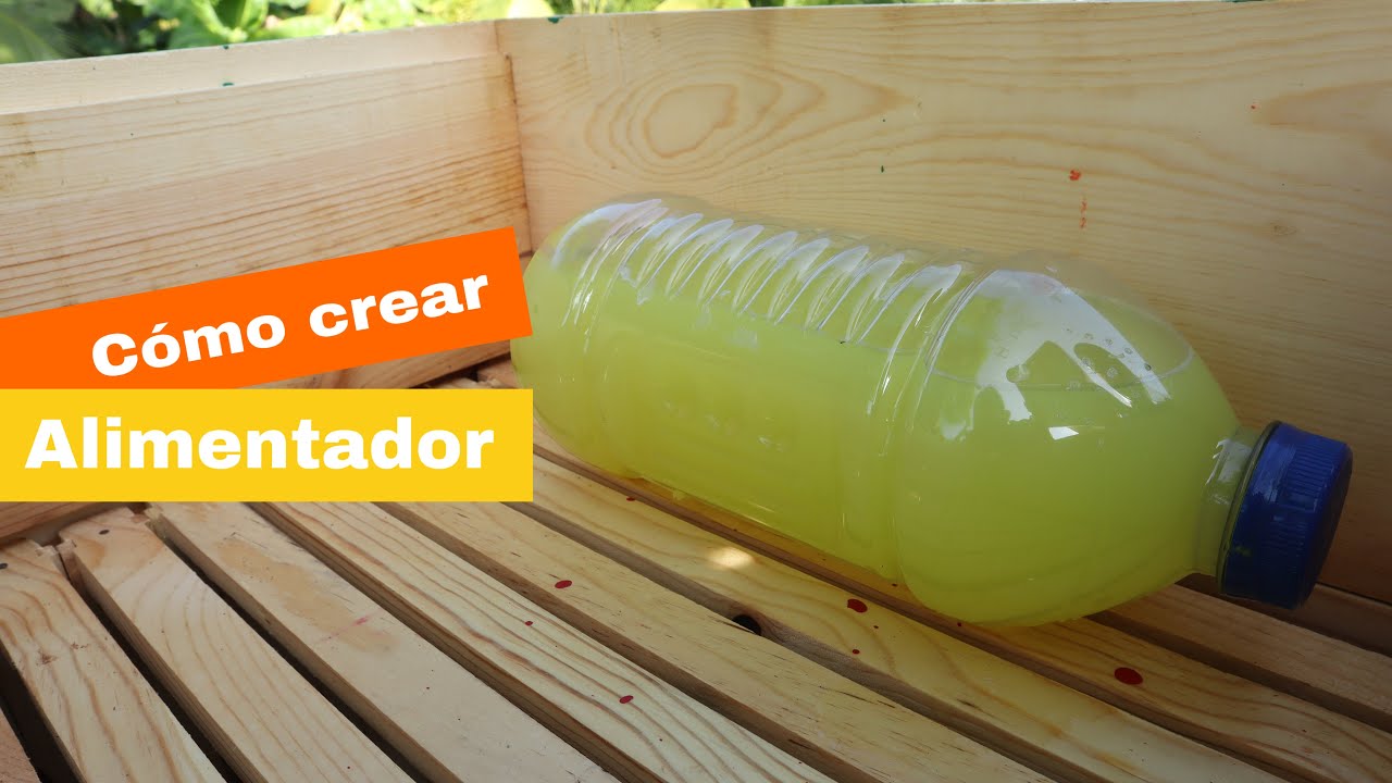 Como crear un alimentador casero para abejas