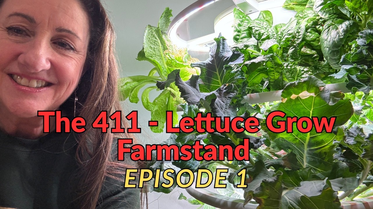 Lettuce Grow Journey, Episode 1  #Lettucegrow #hydroponics #vegetablegardening