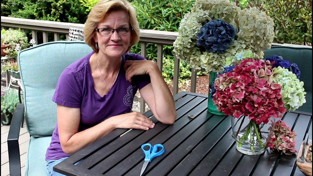 How to dry out Hydrangea flowers/Garden Style nw