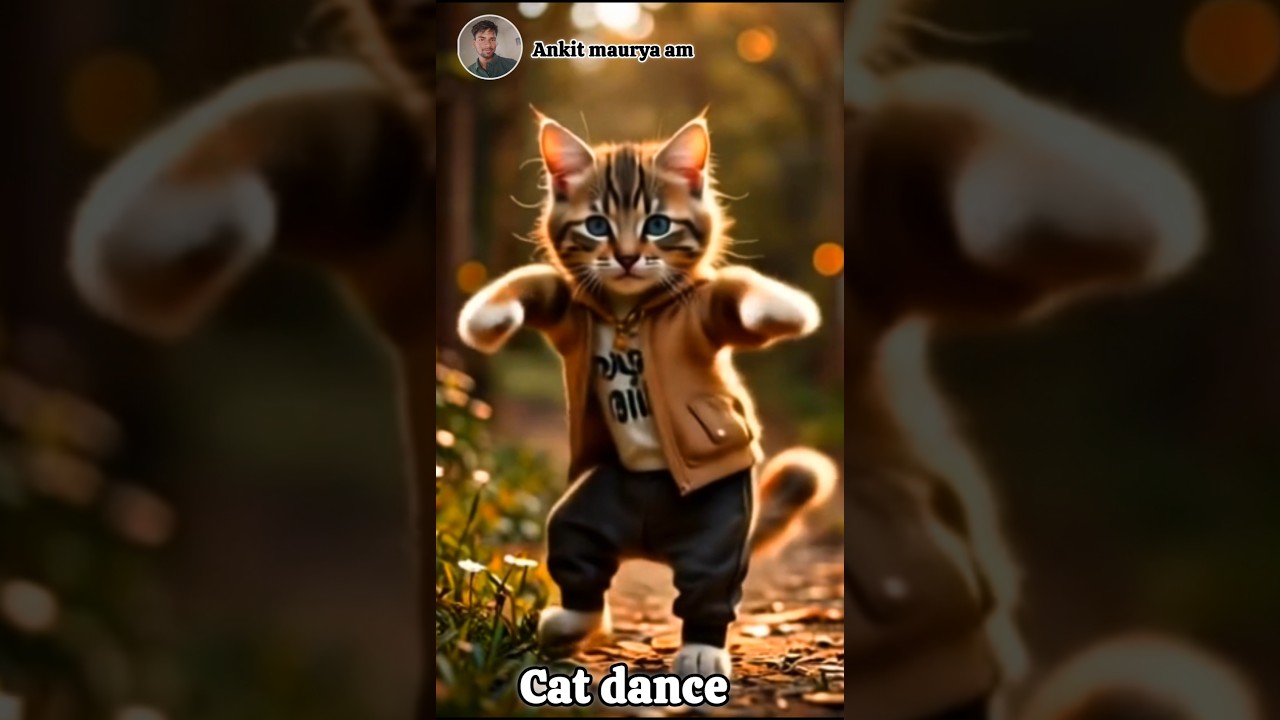 #cat life #kutten lovers 🥰😻 #ai dance