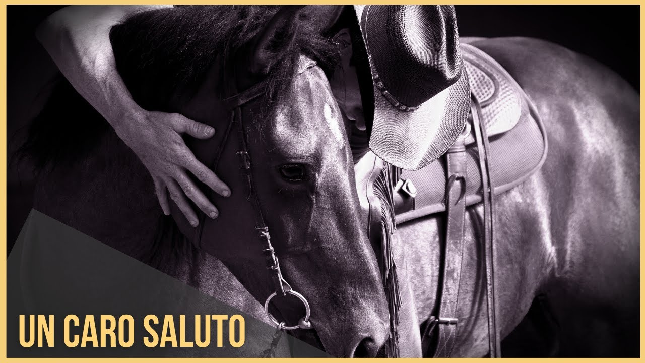 Un saluto a tutti