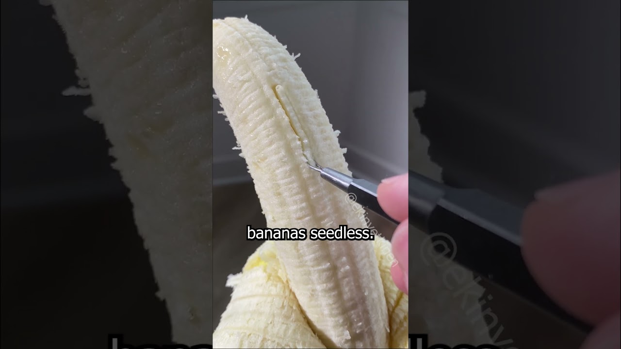 does bananas have seeds?😱