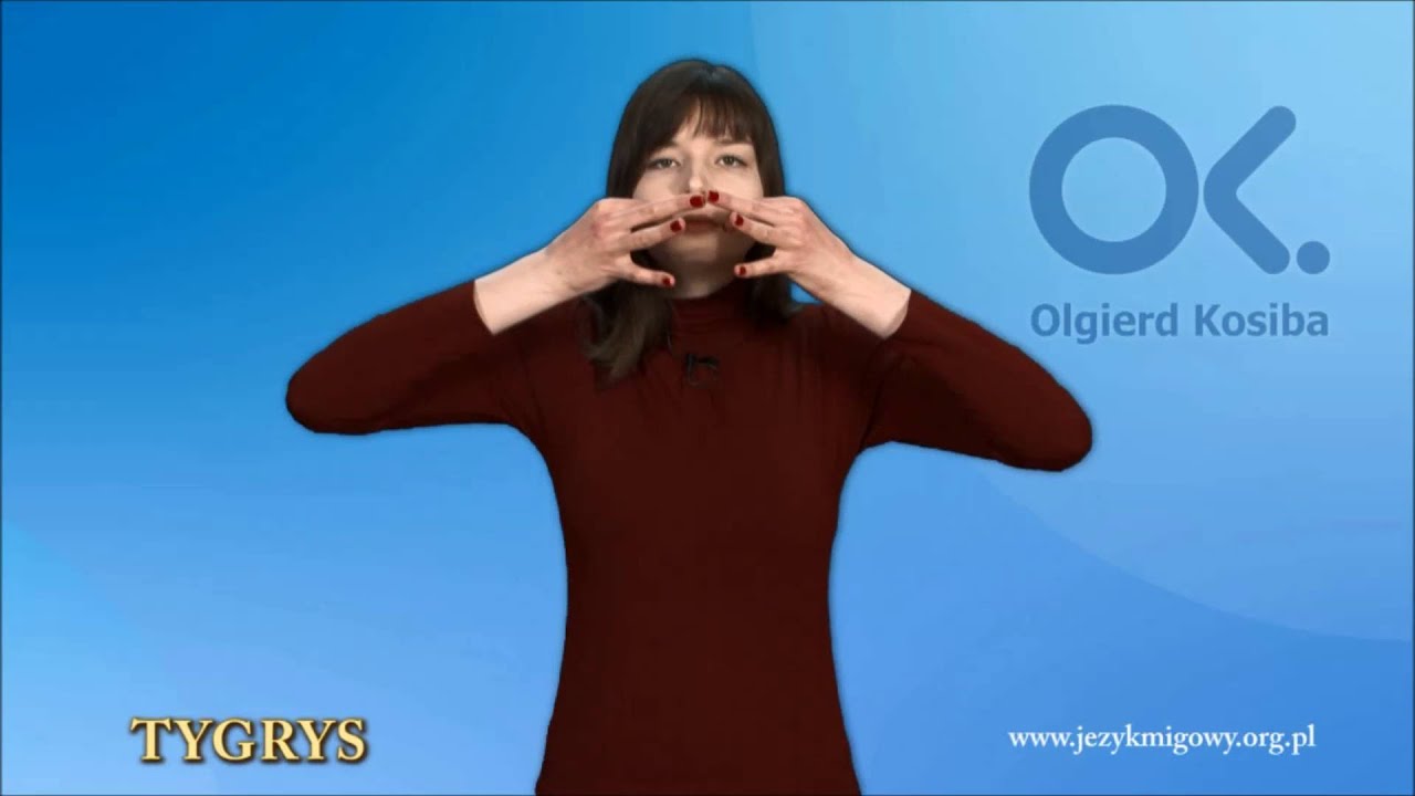 14. Znaki ZWIERZĄT w PJM cz. 2
