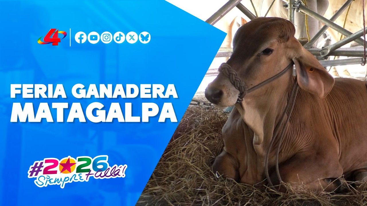 Inauguración oficial: Feria Ganadera Matagalpa 2026 y su mpacto productivo 🐂