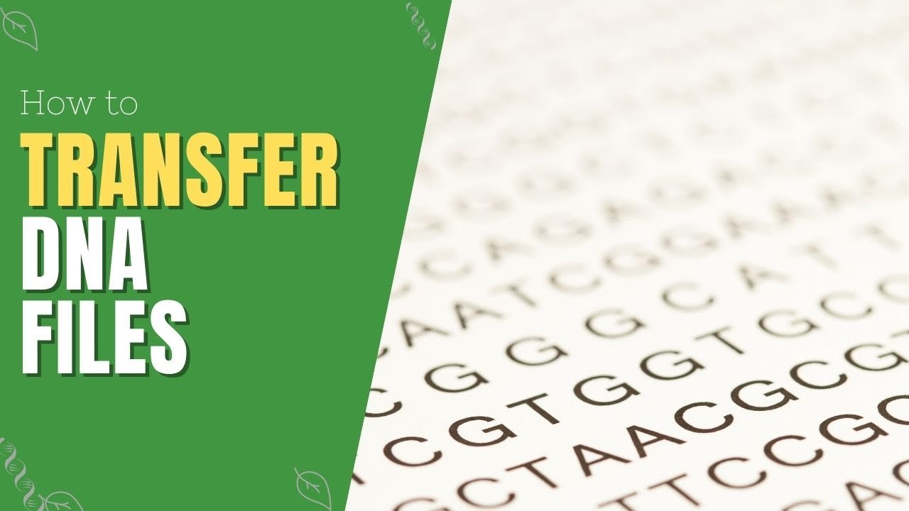 How to Transfer DNA  to Other Sites | Genetic Genealogy Explained