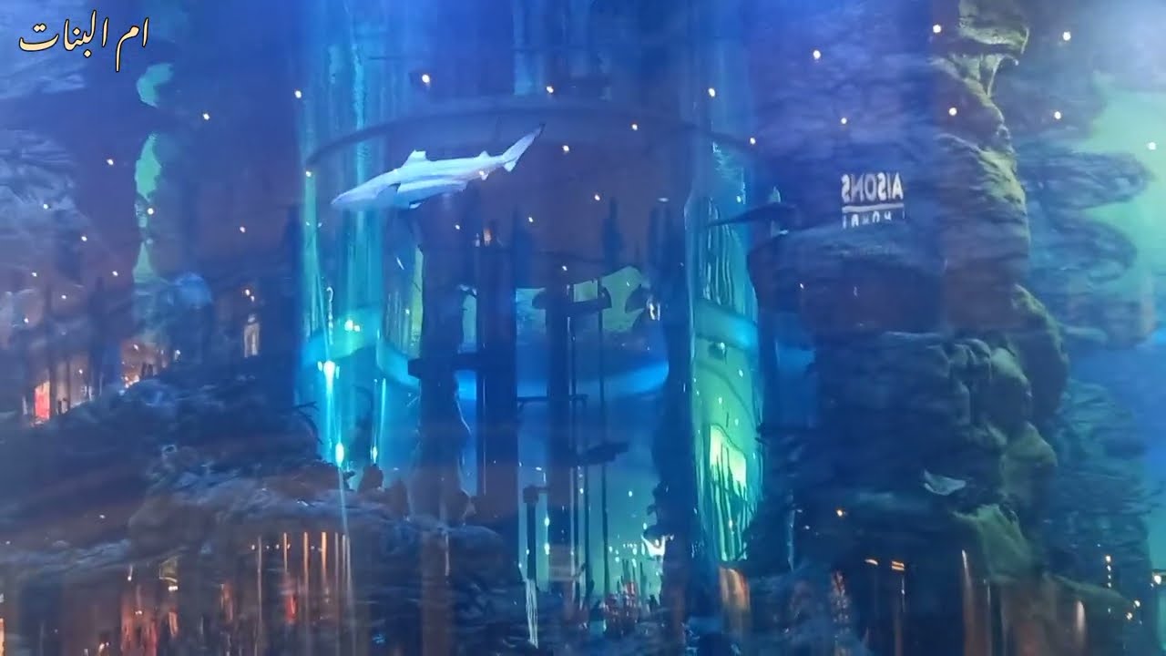 morocco mall casablanca / جولة في أكبر مول في إفريقيا