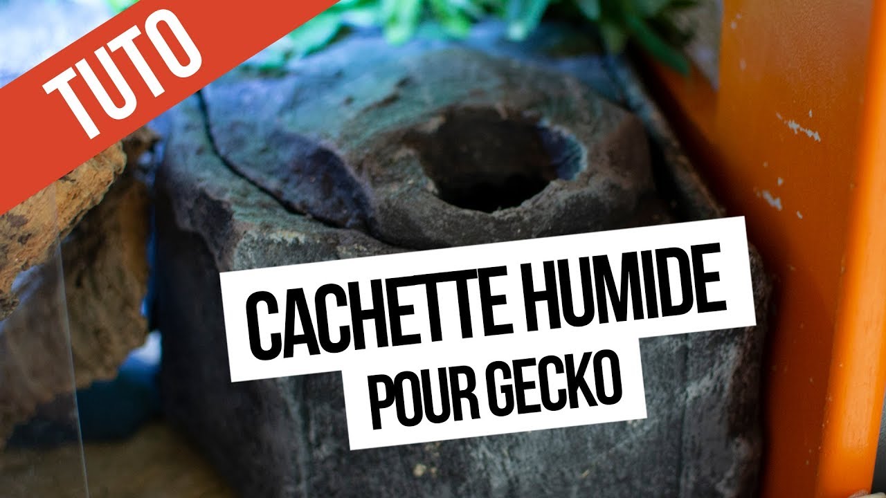 Comment fabriquer une boîte à mue - TUTO