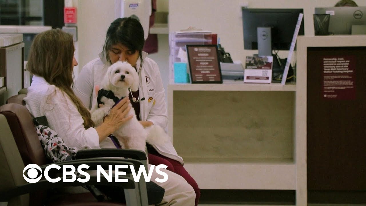 Researchers work to increase the lifespan of pets
