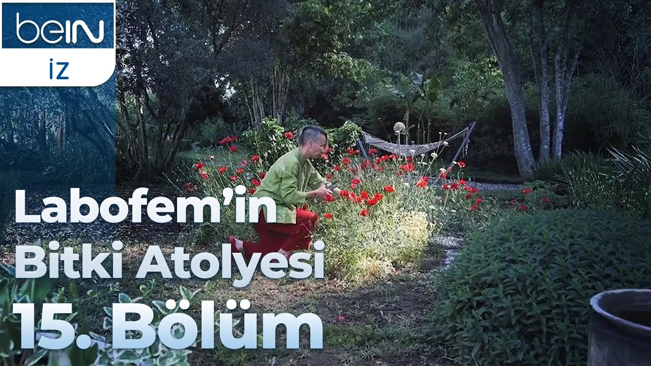 Labofem'in Bitki Atölyesi 15. Bölüm