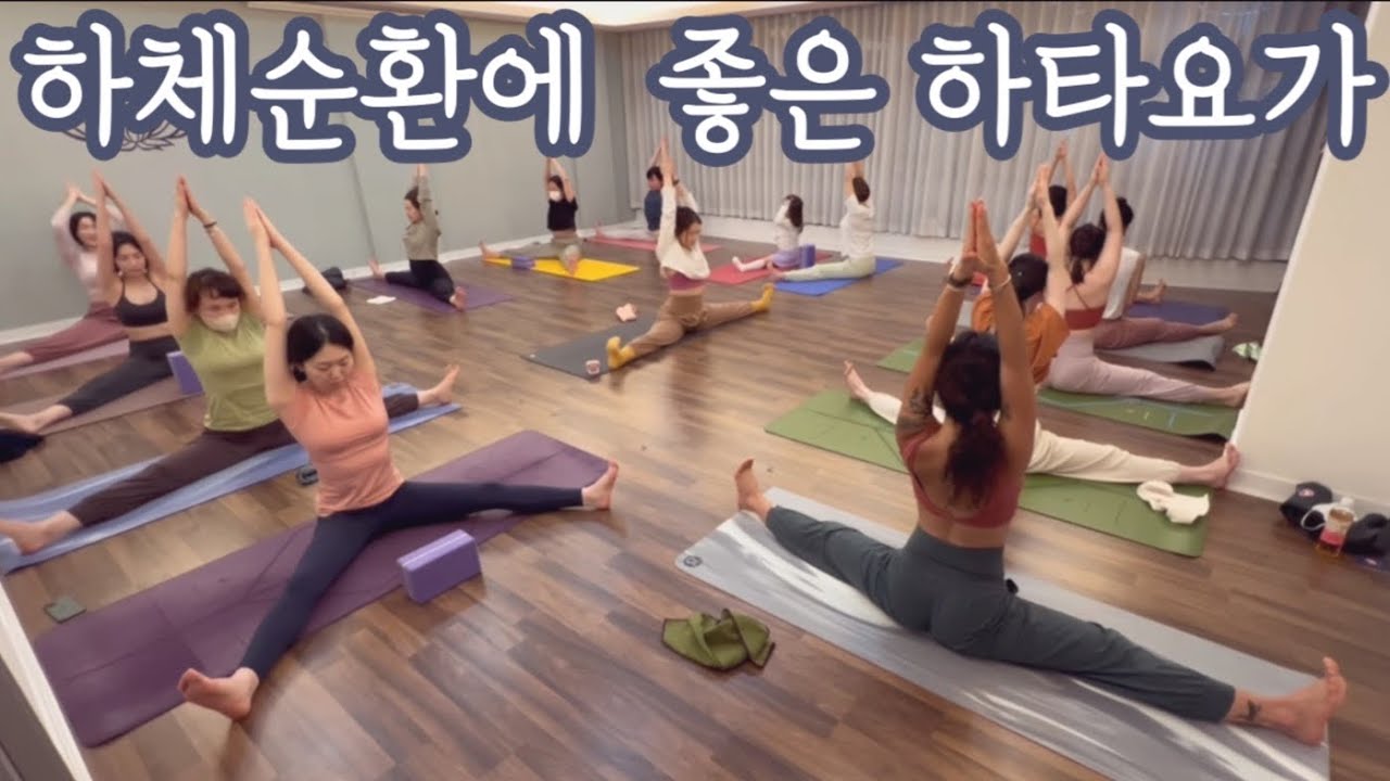 [엔젤요가] 하체순환에 좋은 하타요가 | 골반교정&하체부종에 굿👍 | 사마코나&하누만 | 홈요가