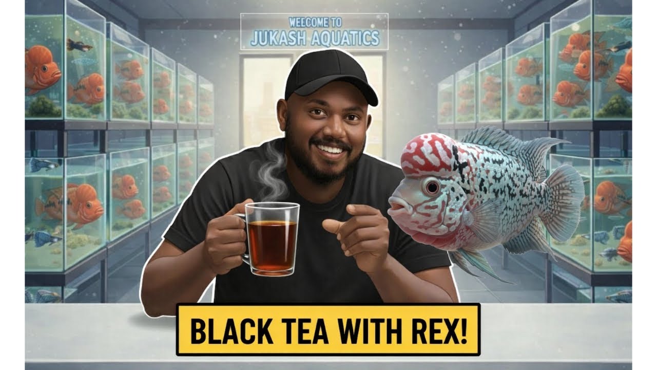Black Tea with Rex ........ 