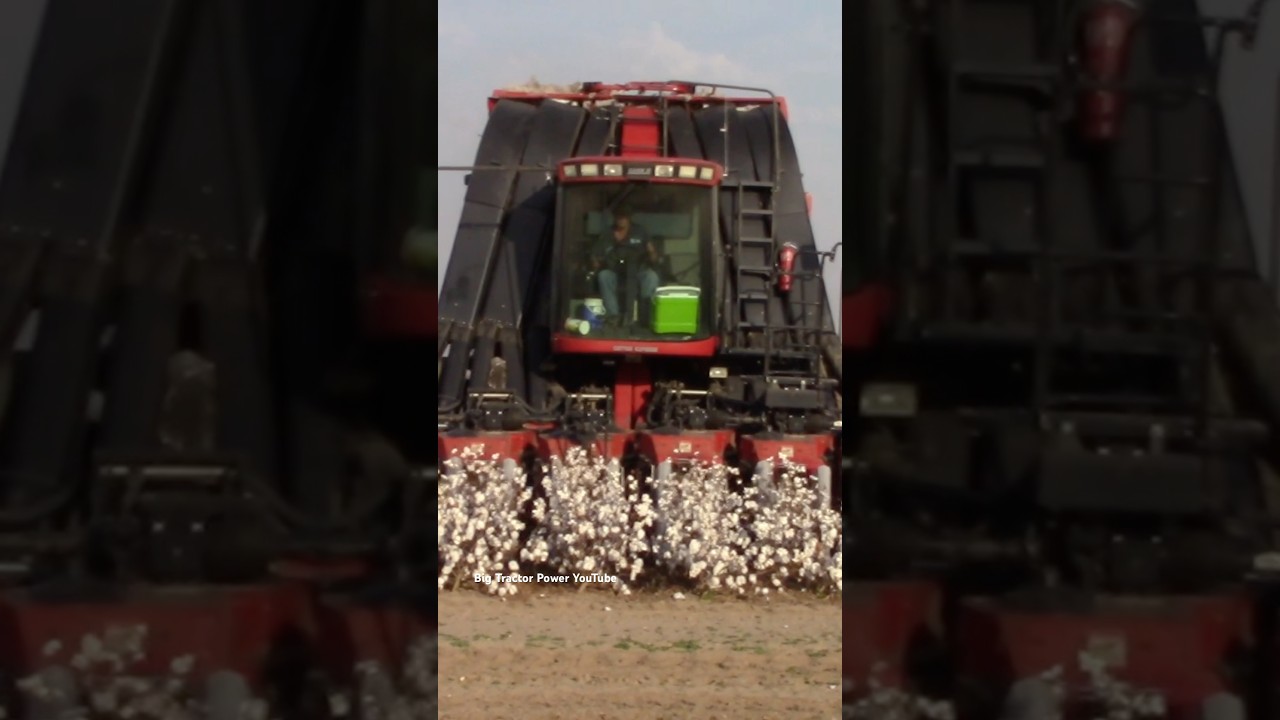 CASE IH CPX620 Cotton Express Harvester #bigtractorpower