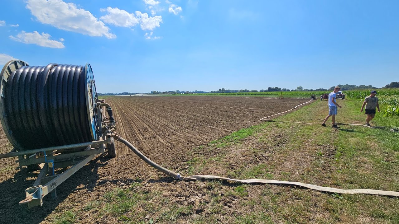 Agrovlog | Posadili smo 2ha povrća po najvećem suncu - HITNO NAVODNJAVANJE!