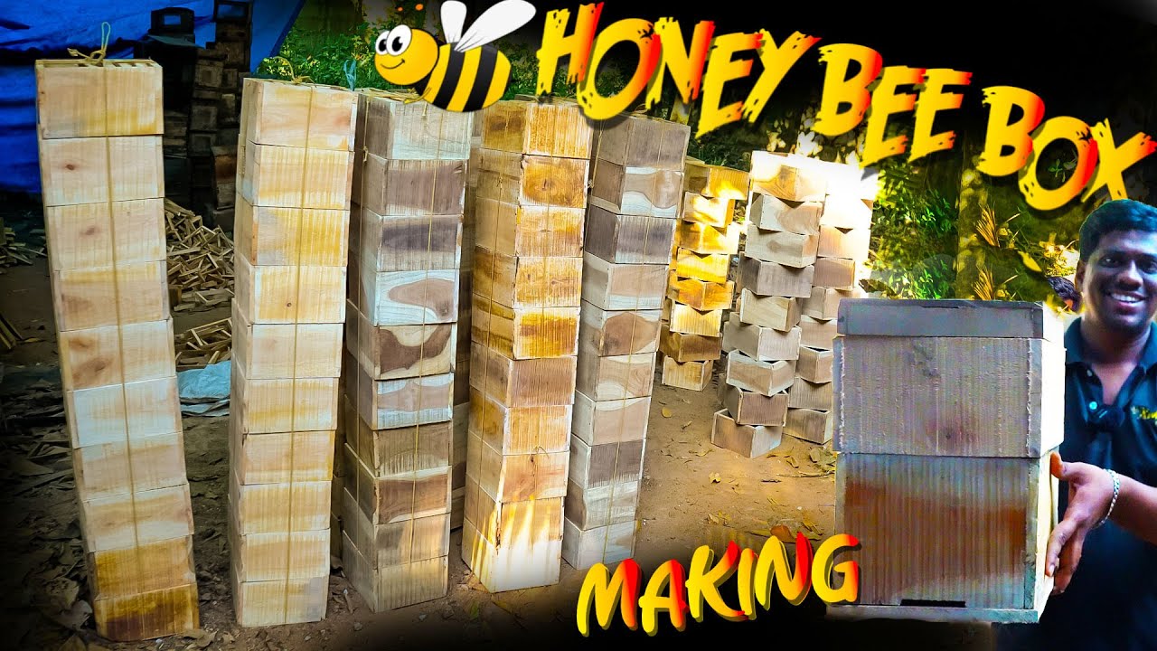 தேனீ பெட்டியை இப்படி தான் செய்ரோம் | Honey Bee Box Making Tamil