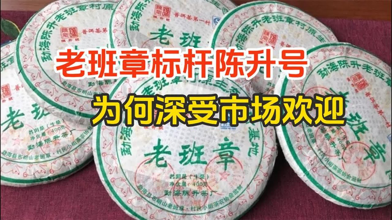 班章树下好乘凉，被评为老班章标杆的陈升号，为何深受市场欢迎？