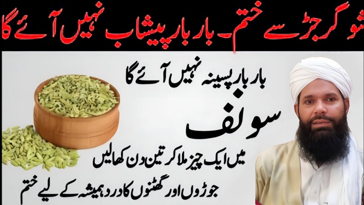 Rumi Quotes Urdu | Hikmat Ki Batain | Motivational Quotes About Life | Golden Words _ Ubqari Totka