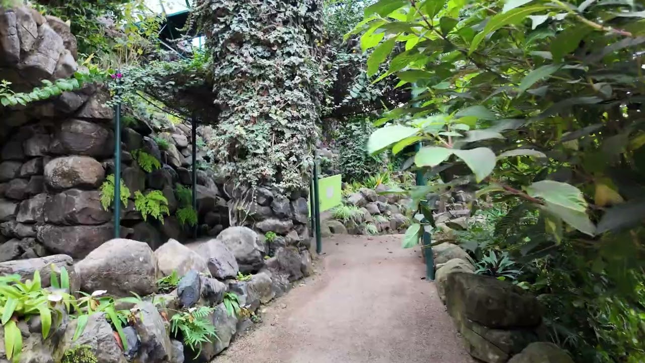 POV Walking Tour of Cold Greenhouse (Estufa Fria) | Lisbon