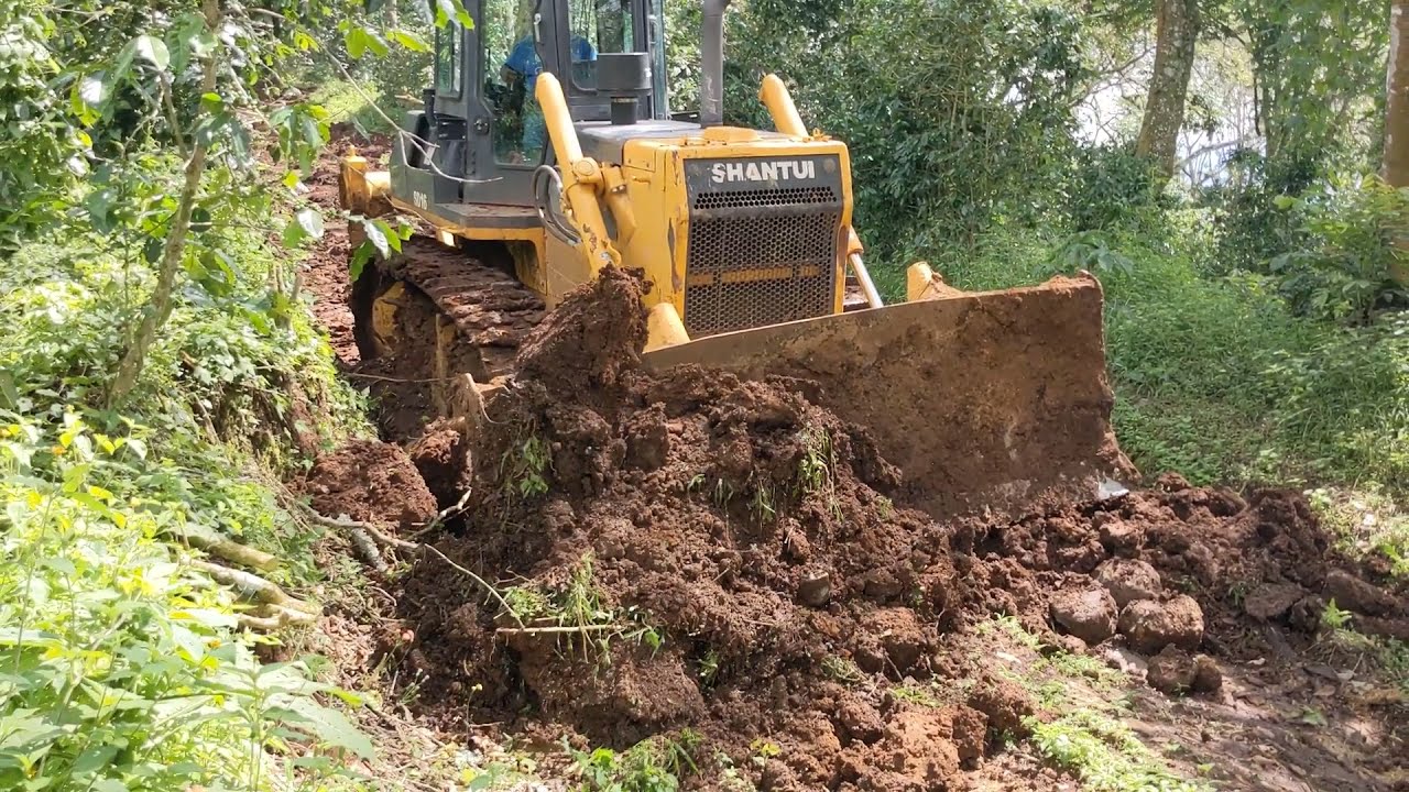 Shantui sd16 leveling road in coffee farm / tractor shantui nivelando en finca de café