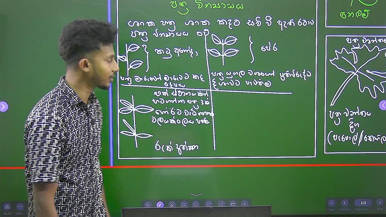 8 ශ්‍රේණිය විද්‍යාව | ශාක කොටස්වල විවිධත්වය හා කෘත්‍යය | මුළු පාඩමම එකම Mind Map එකකින්! 🌿🧠