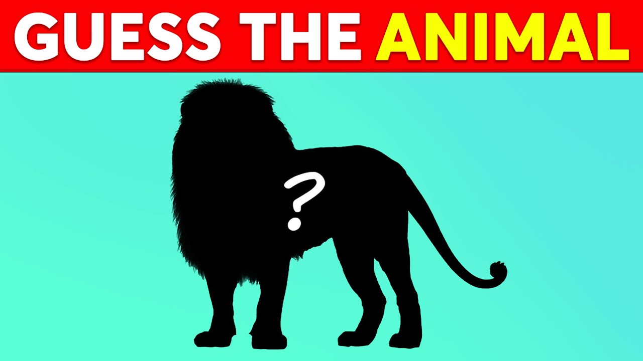 Guess The Animal by Shadow 🐈🦇🐙🦔 Animal Quiz | Monkey Quiz