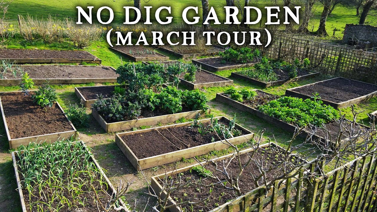 Permaculture Kitchen Garden Tour in March | No Dig Beds in Springtime
