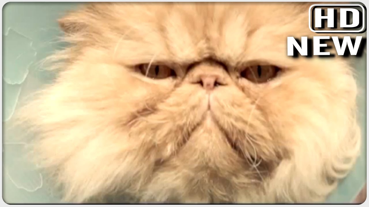 Toyota new 2012 TV commercial: The cat and the vet