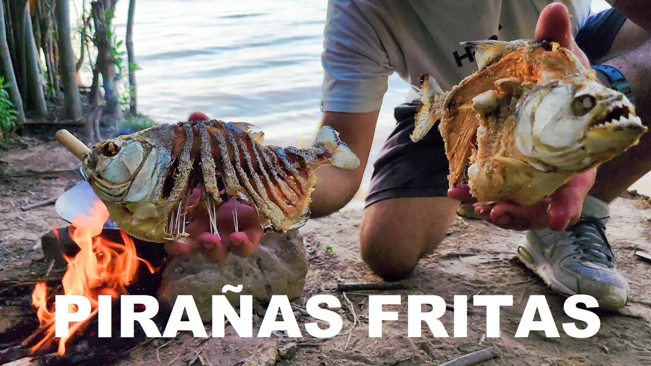PIRAÑAS FRITAS Y TORTUGAS, 