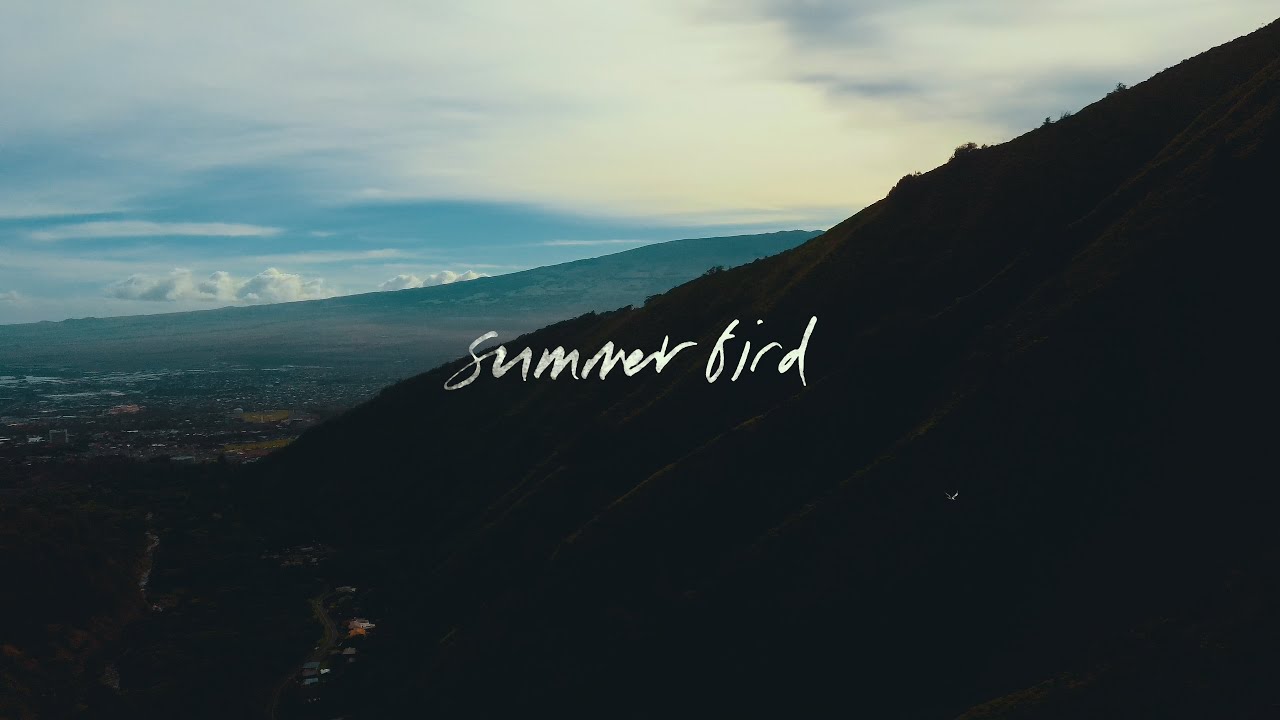 Once & Future//Summer Bird (feat. Amber Shirah)