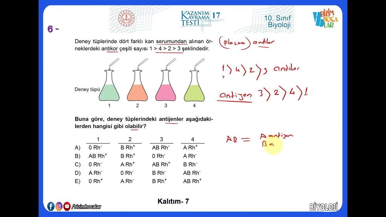 10. Sınıf Biyoloji Kazanım Testleri-17 (2022 - 2023) Kalıtım -