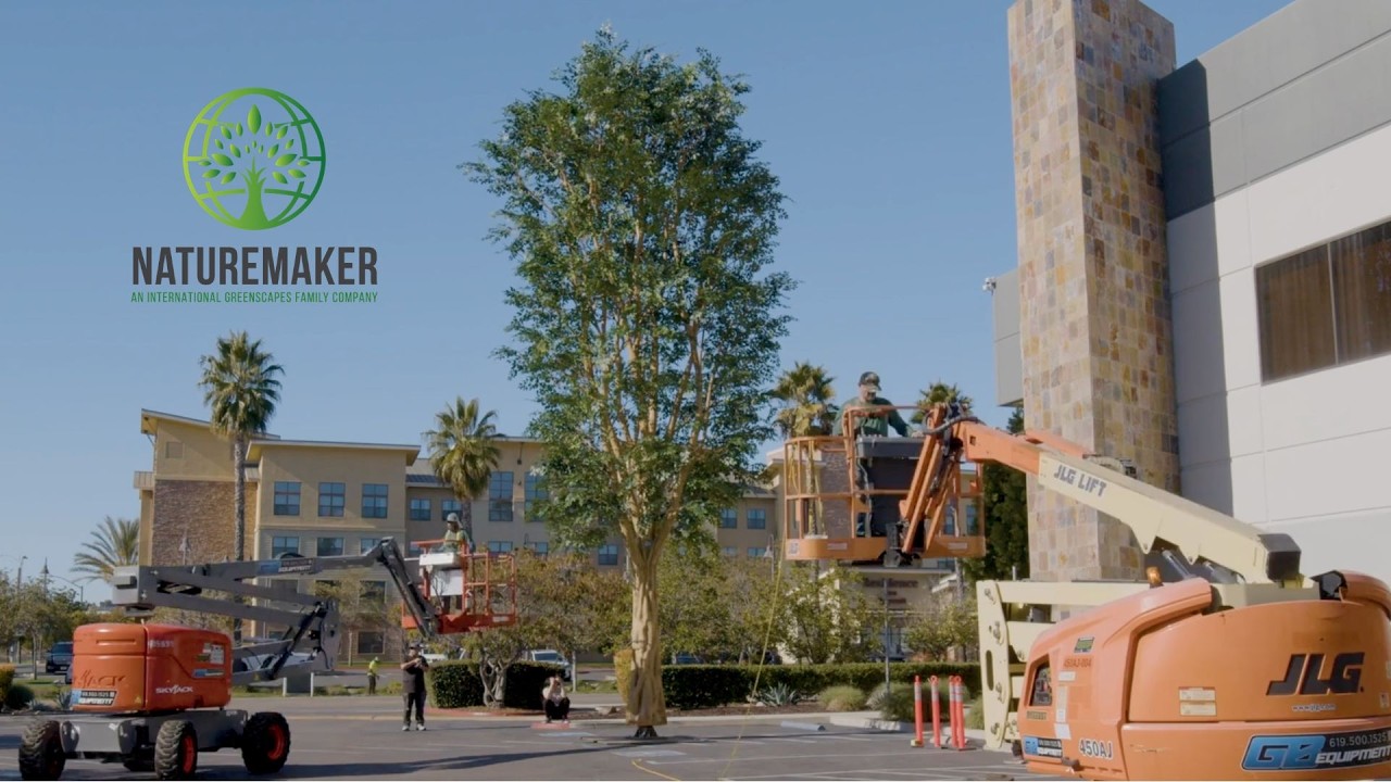 35-Foot Sculpted Tree Timelapse | Naturemaker Biophilic Assembly at Architectural Scale